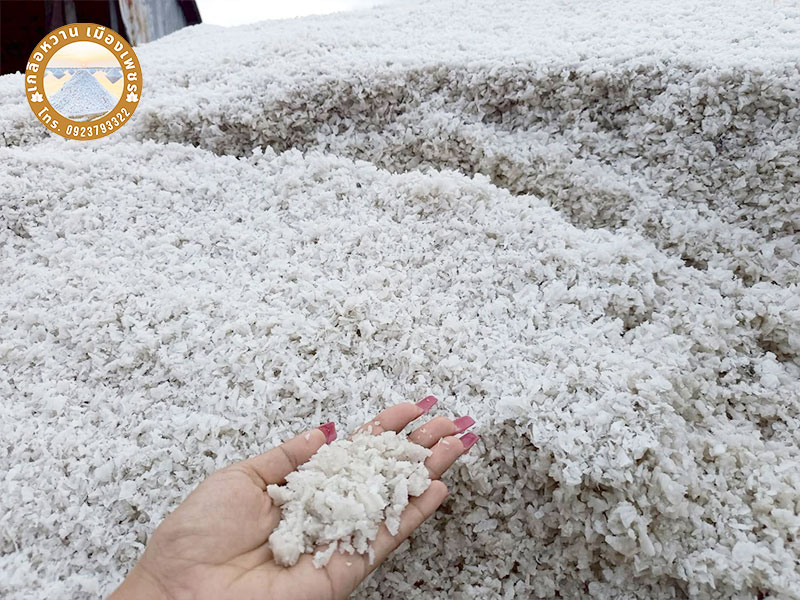 ขายส่งดอกเกลือFleur de Sel ขายส่งดอกเกลือFleur de Sel